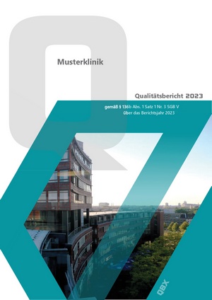 Example quality report 2023